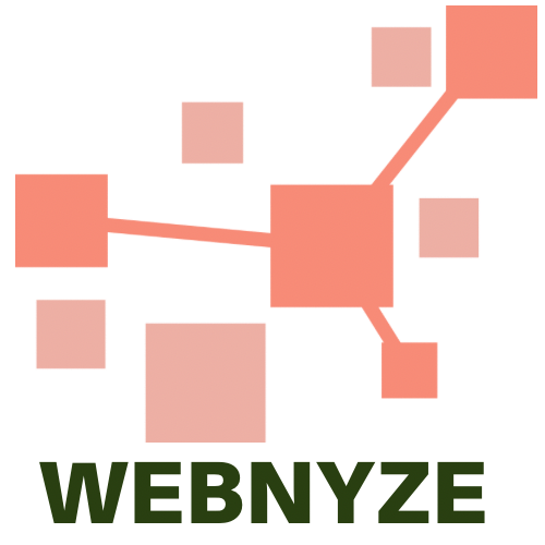 Webnyze Logo